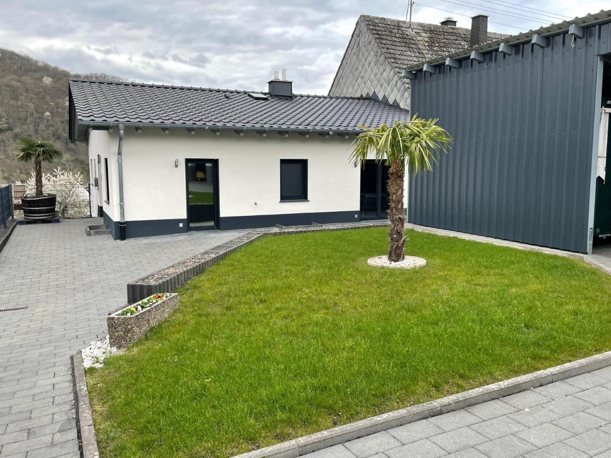Ferienwohnung " Wein Unter Palmen " Neumagen-Dhron Εξωτερικό φωτογραφία