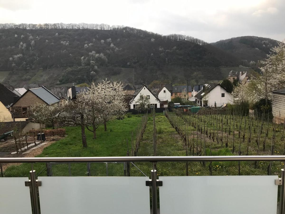 Ferienwohnung " Wein Unter Palmen " Neumagen-Dhron Εξωτερικό φωτογραφία